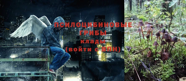 синтетический гашиш Зеленодольск
