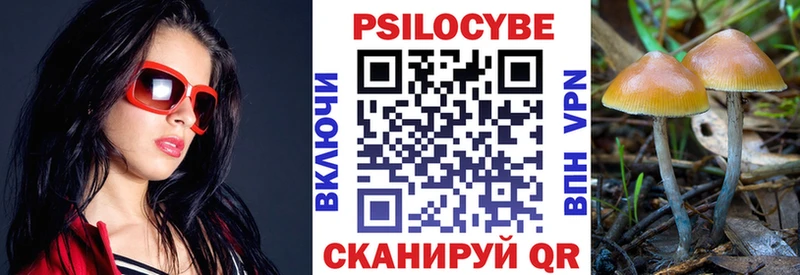 Галлюциногенные грибы GOLDEN TEACHER  Купить закладки  Каменск-Шахтинский 