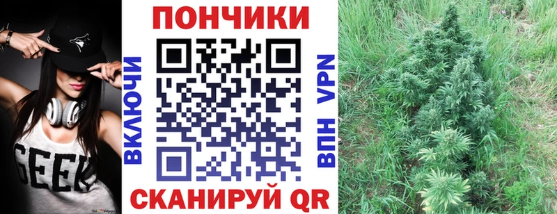 Каннабис THC 21%  Купить  Каменск-Шахтинский 